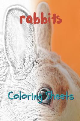 Rabbit Coloring Sheets: 30 Rabbit Drawings, Coloring Sheets Adults Relaxation, Coloring Book for Kids, for Girls, Volume 6 By Julian Smith Cover Image