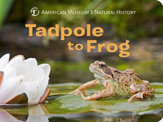 Cover for Tadpole to Frog (Science for Toddlers)