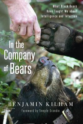In the Company of Bears: What Black Bears Have Taught Me about Intelligence and Intuition By Benjamin Kilham, Temple Grandin (Foreword by) Cover Image