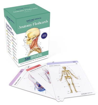 Anatomy Flashcards: 300  Flashcards with Anatomically Precise Drawings and Exhaustive Descriptions + 10 Customizable Bonus Cards and Sorting Ring for Custom Study Cover Image