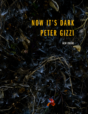 Now It's Dark (Wesleyan Poetry) Cover Image