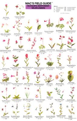 Mac's Field Guides: Pacific NW Wildflowers (Mac's Guides (Flash Cards))