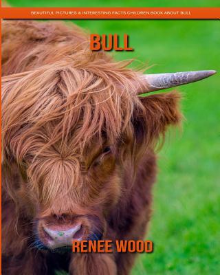 Bull: Beautiful Pictures & Interesting Facts Children Book about Bull By Renee Wood Cover Image