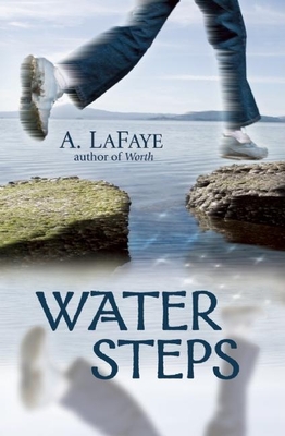 Water Steps Cover