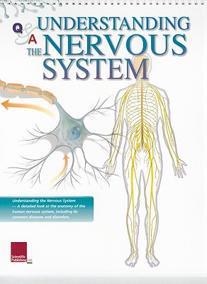 Understanding the Nervous System Flip Chart (Wallchart) | Harvard