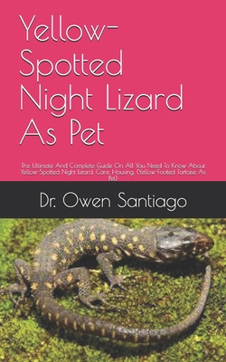 Yellow-Spotted Night Lizard As Pet: The Ultimate And Complete Guide On ...