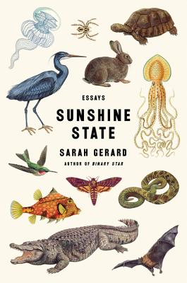 Cover Image for Sunshine State: Essays