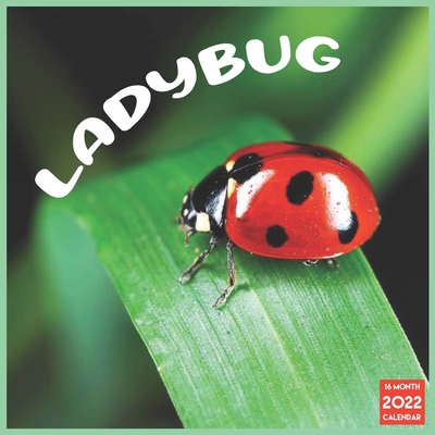 Ladybug 2022 Calendar: Official Ladybugs Insects 2022 Calendar 16 Months (Paperback) | University Press Books/ Berkeley