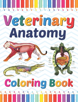 Veterinary Anatomy Coloring Book: Veterinary Anatomy Coloring and Activity  Book for Boys & Girls. Veterinary Coloring Work book for Medical and Nursin  (Paperback) | Books and Crannies