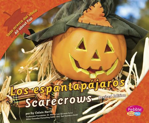 Espantapájaros/Scarecrows By Calvin Harris Cover Image