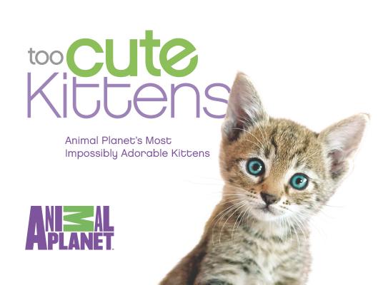 Too Cute Kittens Cover