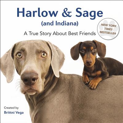 Harlow & Sage (and Indiana): A True Story About Best Friends By Brittni Vega Cover Image