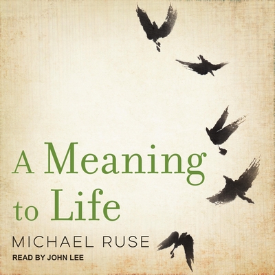 A Meaning to Life Lib/E (Philosophy in Action Series Lib/E)