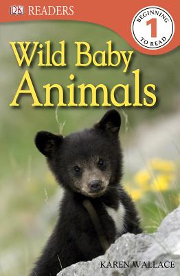 Wild Baby Animals Cover Image