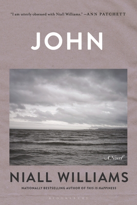 John: A Novel By Niall Williams Cover Image