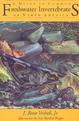 A Guide to Common Freshwater Invertebrates of North America Cover Image