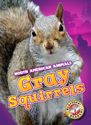 Gray Squirrels (North American Animals) Cover Image