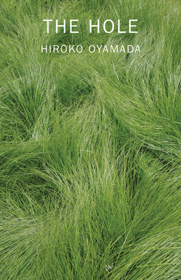 The Hole By Hiroko Oyamada, David Boyd (Translated by) Cover Image