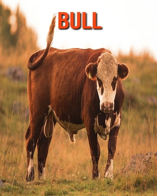 Bull: Incredible Pictures and Fun Facts about Bull Cover Image