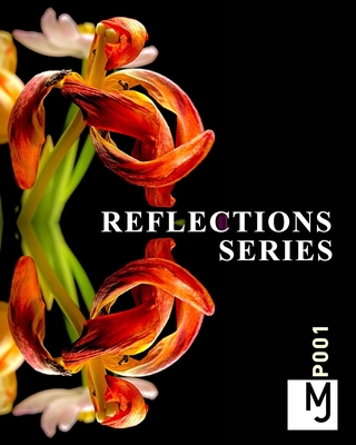 Reflections + Series: Potographic Cover Image