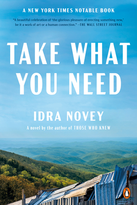 Take What You Need: A Novel By Idra Novey Cover Image
