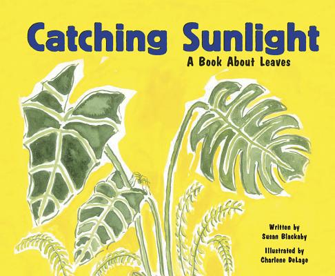 Catching Sunlight: A Book about Leaves (Growing Things) Cover Image