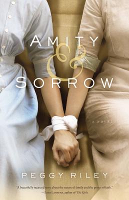 Cover Image for Amity & Sorrow: A Novel