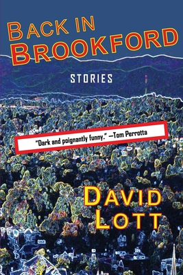 Back in Brookford By David Lott Cover Image