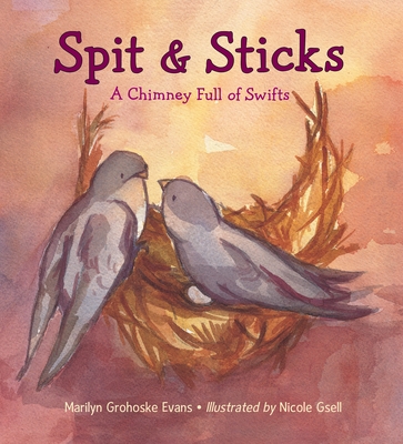 Spit & Sticks Cover