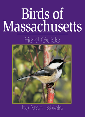 Birds of Massachusetts Field Guide (Bird Identification Guides) By Stan Tekiela Cover Image