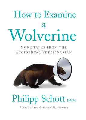How to Examine a Wolverine: More Tales from the Accidental Veterinarian By Philipp Schott Cover Image