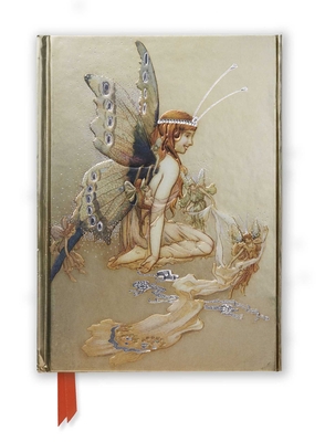 Goble: Pretty Set of Wings (Foiled Journal) (Flame Tree Notebooks) Cover Image
