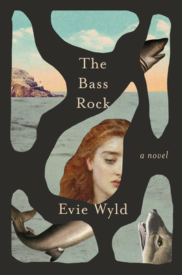 The Bass Rock: A Novel Cover Image