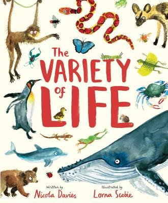 The Variety of Life By Nicola Davies, Lorna Scobie (Illustrator) Cover Image