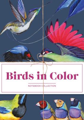 Birds in Color Notebook Collection By Jane Kim, Thayer Walker Cover Image