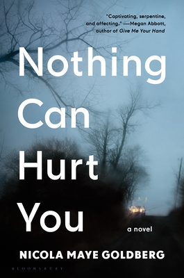 Nothing Can Hurt You Cover Image