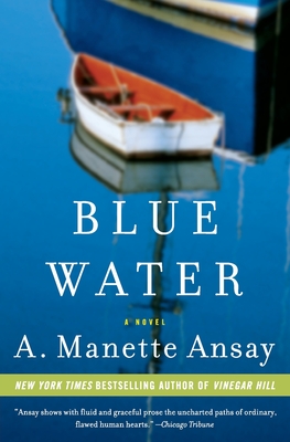 Cover for Blue Water: A Novel