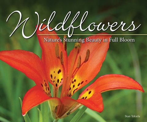 Wildflowers: Nature's Stunning Beauty on Display (Nature Appreciation)