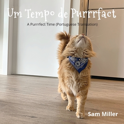 Um Tempo de Purrrfact By Sam Miller Cover Image