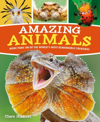 Amazing Animals: More Than 100 of the World's Most Remarkable Creatures By Claire Hibbert, Clare Hibbert Cover Image