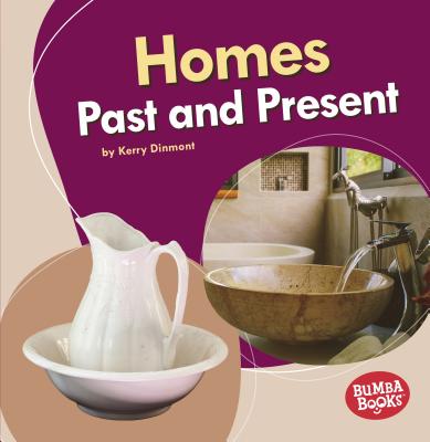 Homes Past and Present (Bumba Books (R) -- Past and Present)