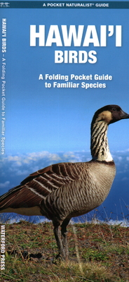 Hawai'i Birds: A Folding Pocket Guide to Familiar Species By Waterford Press, Raymond Leung (Illustrator) Cover Image