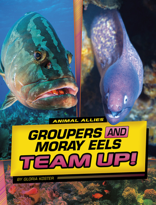 Groupers and Moray Eels Team Up! Cover Image