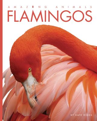 Amazing Animals: Flamingos Cover Image