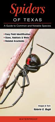 Spiders of Texas: A Guide to Common and Notable Species Cover Image
