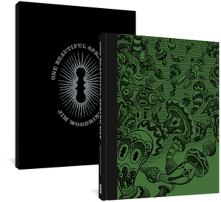 One Beautiful Spring Day Limited Edition By Jim Woodring Cover Image