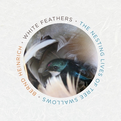 White Feathers: The Nesting Lives of Tree Swallows By Bernd Heinrich, Rick Adamson (Read by) Cover Image