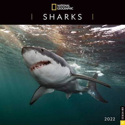 National Geographic: Sharks 2022 Wall Calendar Cover Image