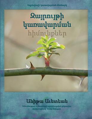 Anger Management Essentials in Armenian By Anita Avedian, Hagop Akiskal MD (Foreword by), Hasmik Galstyan (Translator) Cover Image