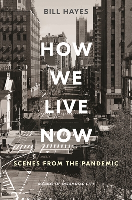 Cover for How We Live Now